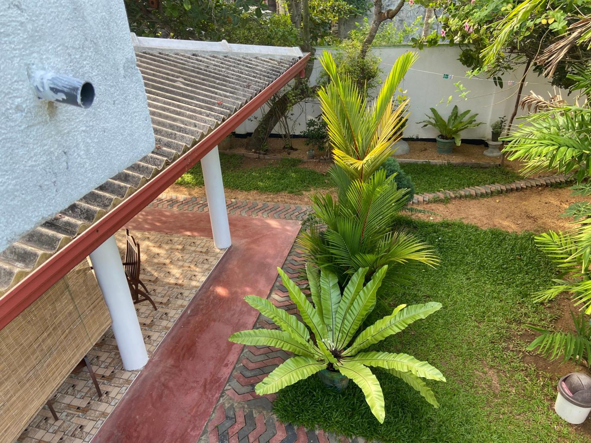 Mirissa Gold Rush Villa Kültér fotó